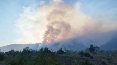 Изгоряло дърво се стовари върху пожарникар, докато гаси огъня в Славянка