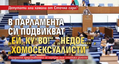 Депутати или хамали от Сточна гара? В парламента си подвикват „Ей, ку*во!“, „недое...“, „хомосексуалисти“