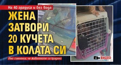 На 40 градуса и без вода: Жена затвори 20 кучета в колата си (Видео)