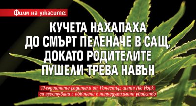 Филм на ужасите: Кучета нахапаха до смърт пеленаче в САЩ, докато родителите пушели трева навън