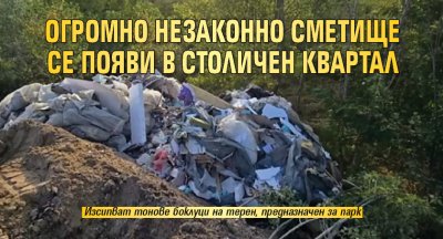 Огромно незаконно сметище се появи в столичен квартал