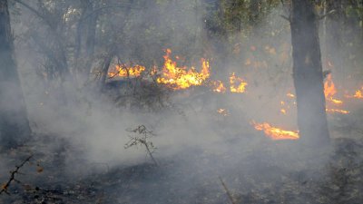 Нов пожар пламна в планина Славянка