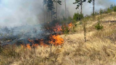 Кметът на Елин Пелин: Пожарът в близост до село Нови хан е "почти овладян"