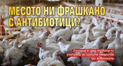 Месото ни фрашкано с антибиотици?