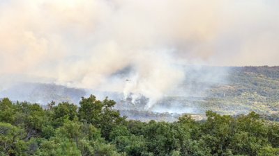 Дежурни екипи през нощта охраняваха локализирания пожар  в гората в