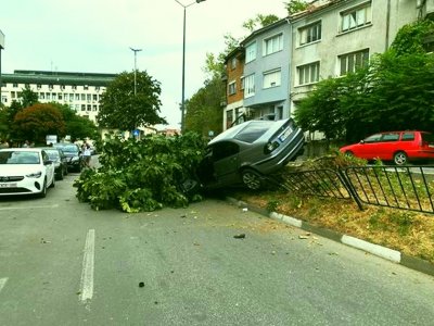 Млад шофьор помете дърво и се яхна с БМВ-то върху ограда в центъра на Асеновград