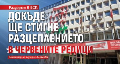 Раздорът в БСП: Докъде ще стигне разцеплението в червените редици