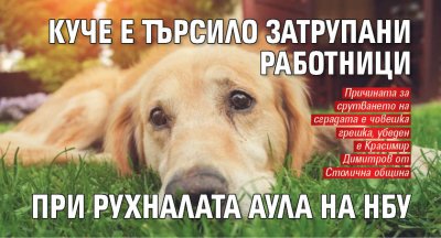 Куче е търсило затрупани работници при рухналата аула на НБУ