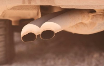 Само за месец интернет се напълни със съвети критики и