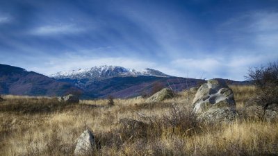 ВНИМАВАЙТЕ НА ВИТОША! Включва се сръбски мобилен оператор и сметката набъбва