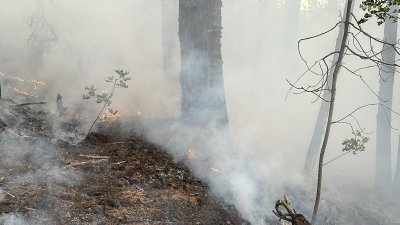 Огнеборците пак са накрак: Голям горски пожар избухна в село Плоски