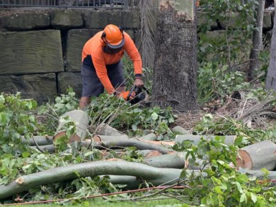 Пореден скандал свързан с кмета на София Васил Терзиев и