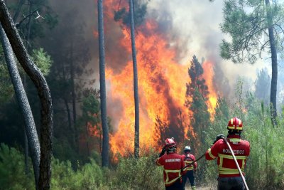 Горските пожари в Португалия взеха седем жертви