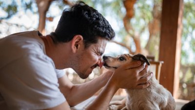 Учени откриха че ако се взирате в очите на домашния си