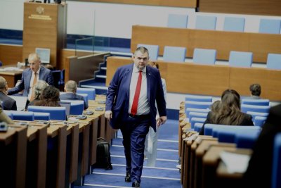 Ако в България има адекватни държавни институции и служби вицепремиерът