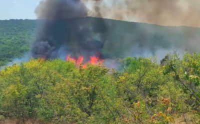 Общо 114 пожара са потушени в страната през изминалото денонощие