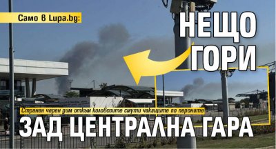 Само в Lupa.bg: Нещо гори зад Централна гара