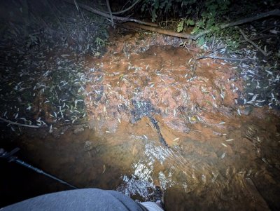 Регионалната инспекция по околната среда и водите РИОСВ София даде