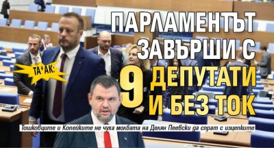 ТА*АК: Парламентът завърши с 9 депутати и без ток