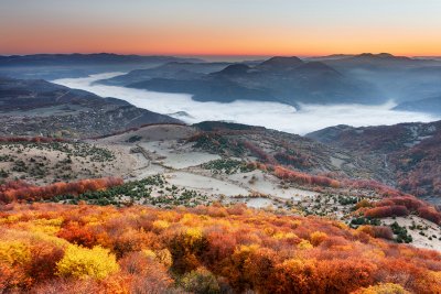 Хващайте гората, времето е чудесно