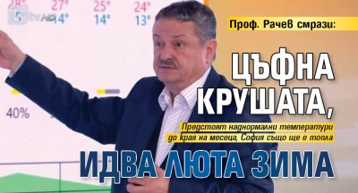 Проф. Рачев смрази: Цъфна крушата, идва люта зима