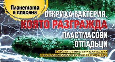 Планетата е спасена: Откриха бактерия, която разгражда пластмасови отпадъци 