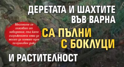 Деретата и шахтите във Варна са пълни с боклуци и растителност