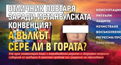 Отличник повтаря заради Истанбулската конвенция? А вълкът сере ли в гората?