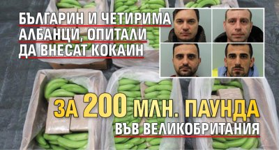 Българин и четирима албанци, опитали да внесат кокаин за 200 млн. паунда във Великобритания