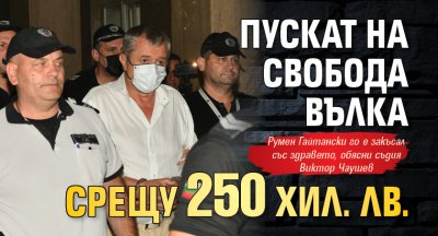 Пускат на свобода Вълка срещу 250 хил. лв.