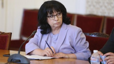 Теменужка Петкова: Няма причина да нямаме доверие на Атанас Илков