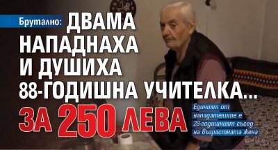 Брутално: Двама нападнаха и душиха 88-годишна учителка... за 250 лева