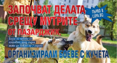 Първо в Lupa.bg: Започват делата срещу мутрите от Пазарджик, организирали боеве с кучета