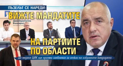 ПЪЗЕЛЪТ СЕ НАРЕДИ: Вижте мандатите на партиите по области