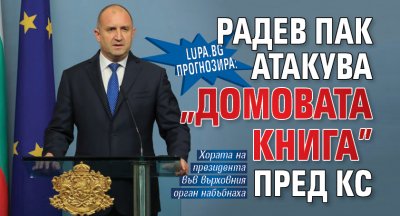 Десет месеца след като Румен Радев атакува пред Конституционния съд