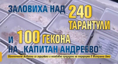 Заловиха над 240 тарантули и 100 гекона на „Капитан Андреево“