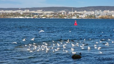 След 5 дни теч на отходни води: Отстраниха аварията на тръбопровода във Варненското езеро 