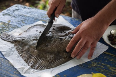 Вдигнаха квотата на България за улов на калкан в Черно море