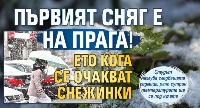 Първият сняг е на прага! Ето кога се очакват снежинки