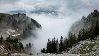 Планински спасители: Хващайте гората, но се облечете и внимавайте