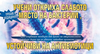 Пробив в медицината: Учени откриха слабото място на бактерии, устойчиви на антибиотици