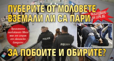 Разследване на Lupa.bg: Пуберите от моловете вземали ли са пари за побоите и обирите?