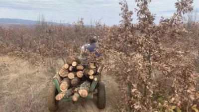 Горски инспектор е нападнат от бракониери в Градец