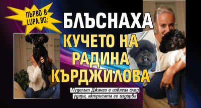 Първо в Lupa.bg: Блъснаха кучето на Радина Кърджилова