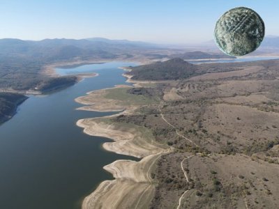 Ценна находка: Монета на Филип Македонски открита в Новозагорско 