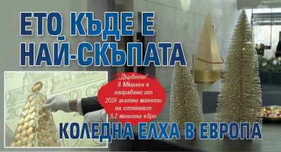 Ето къде е най-скъпата коледна елха в Европа