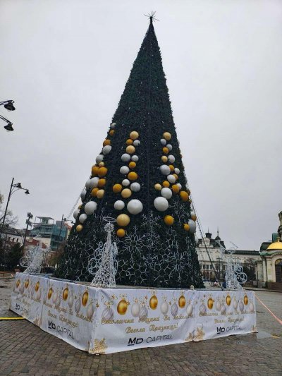 Ужас: Коледната елха на София всеки момент може да падне! (СНИМКИ)