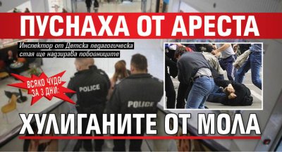 Всяко чудо за 3 дни: Пуснаха от ареста хулиганите от мола