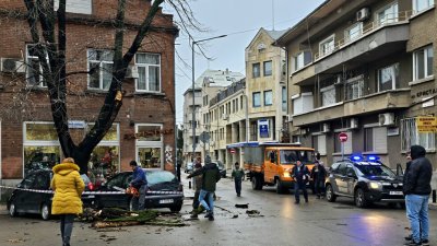 Клон падна върху автомобил в центъра на Русе до