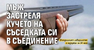 Мъж застреля кучето на съседката си в Съединение